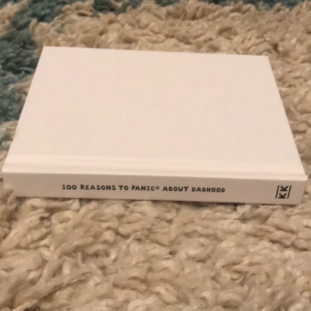 Brand new dadhood funny book